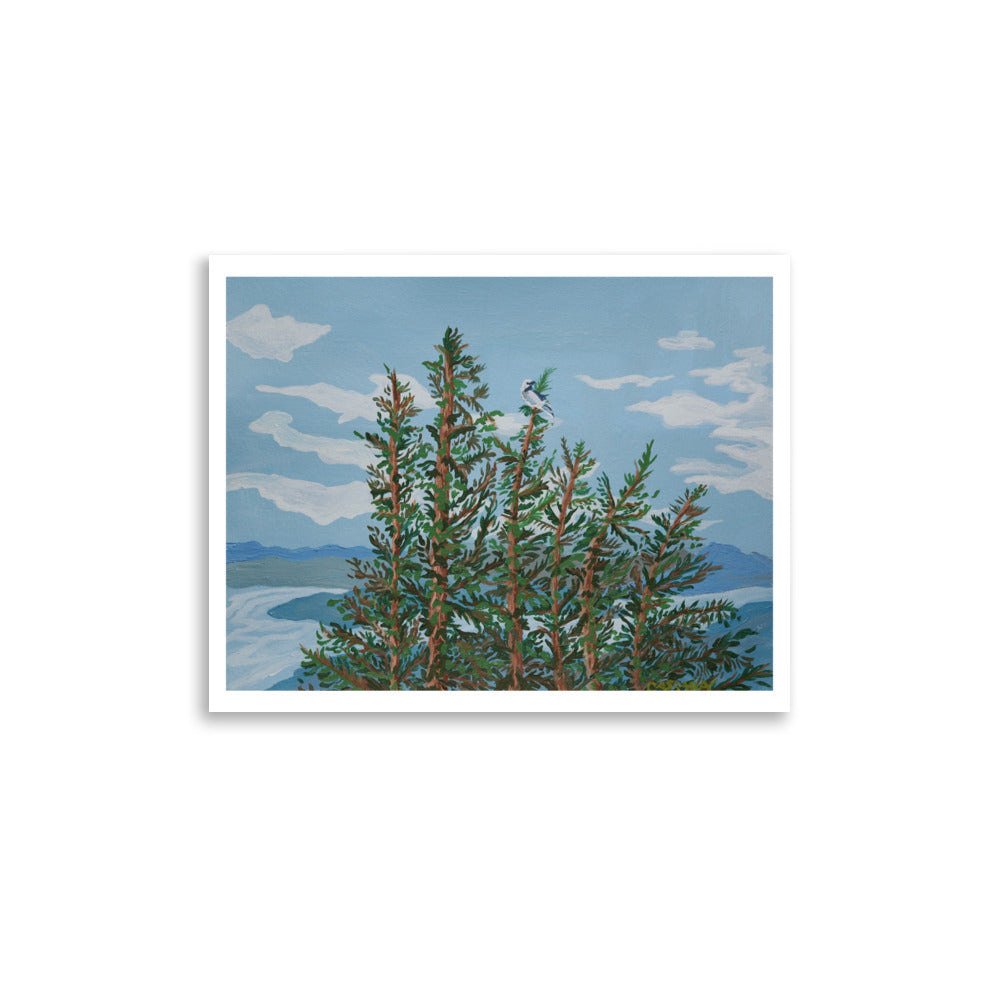 Towering Pines Fine Art Giclee Print