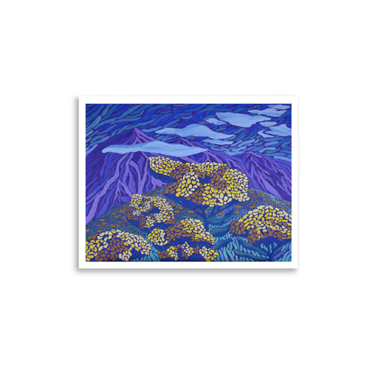 Wild Flowering Yarrows Fine Art Giclee Print