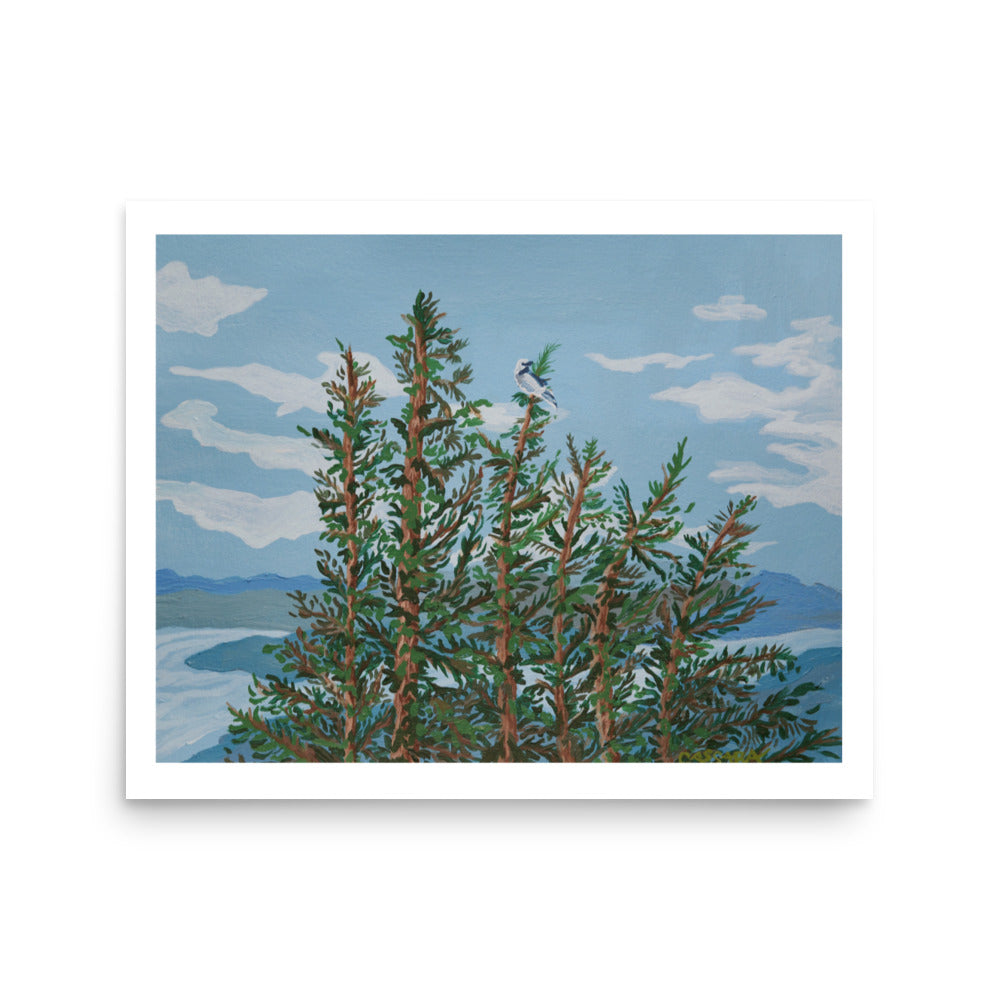 Towering Pines Fine Art Giclee Print