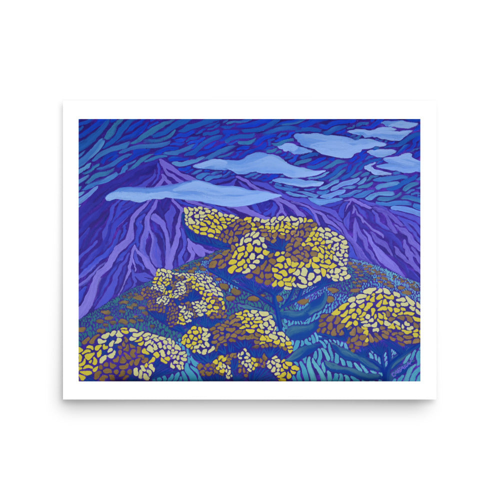 Wild Flowering Yarrows Fine Art Giclee Print