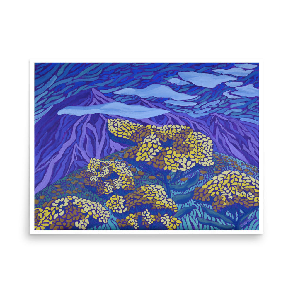 Wild Flowering Yarrows Fine Art Giclee Print