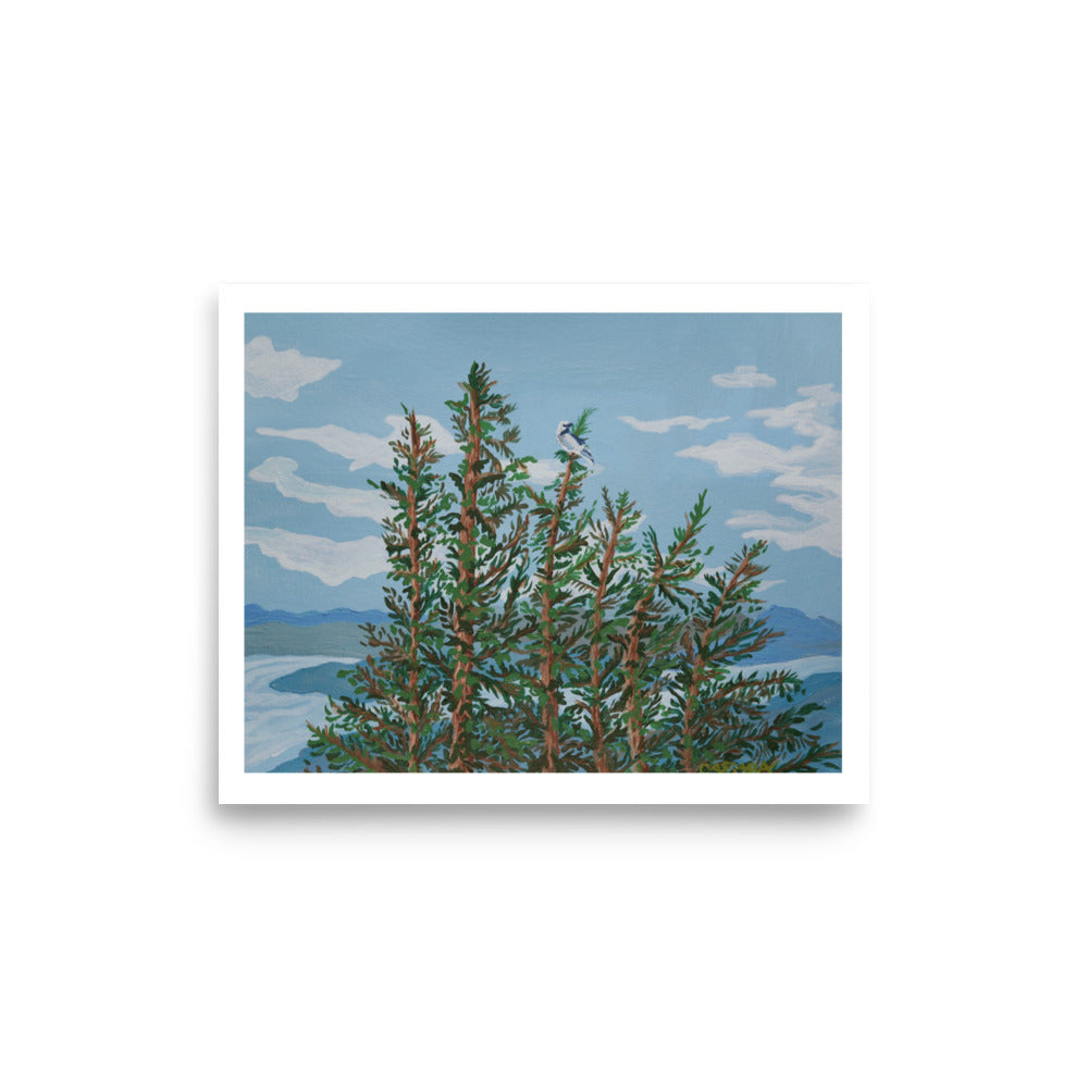 Towering Pines Fine Art Giclee Print