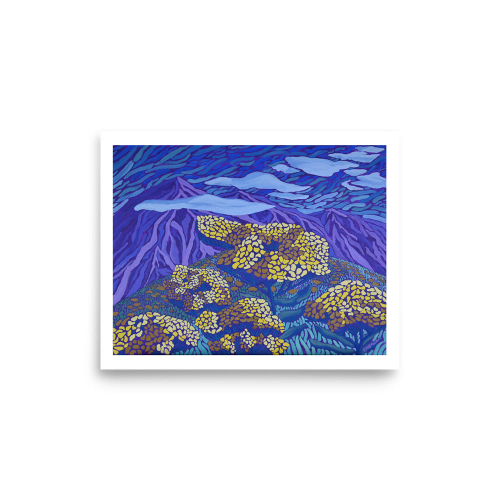 Wild Flowering Yarrows Fine Art Giclee Print
