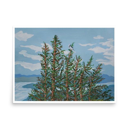 Towering Pines Fine Art Giclee Print
